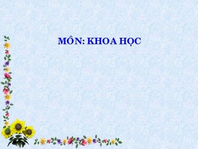 Bài giảng Khoa học Lớp 5 - Bài 32: Tơ sợi - Năm học 2012-2013