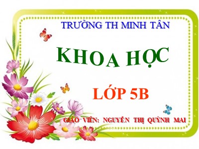 Bài giảng Khoa học Lớp 5 - Bài 33: Ôn tập Học kì I - Nguyễn Thị Quỳnh Mai