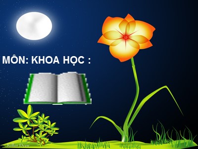 Bài giảng Khoa học Lớp 5 - Bài 40: Năng lượng (Bản hay)