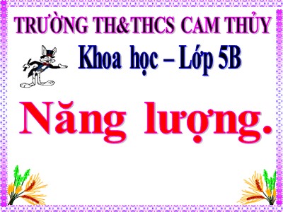 Bài giảng Khoa học Lớp 5 - Bài 40: Năng lượng - Trường Tiểu học Cam Thủy