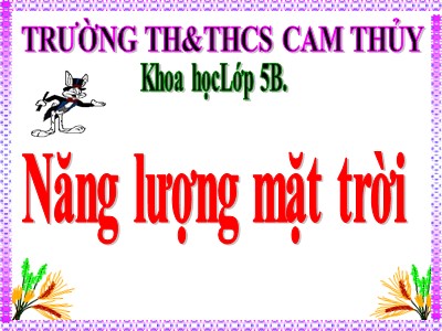 Bài giảng Khoa học Lớp 5 - Bài 41: Năng lượng mặt trời - Trường Tiểu học Cam Thủy