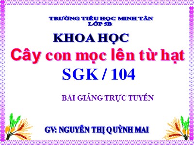 Bài giảng Khoa học Lớp 5 - Bài 53: Cây con mọc lên từ hạt - Nguyễn Thị Quỳnh Mai