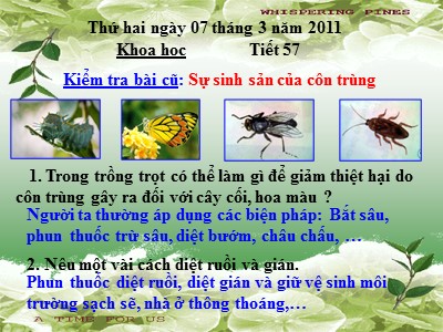 Bài giảng Khoa học Lớp 5 - Bài 57: Sự sinh sản của ếch - Năm học 2010-2011