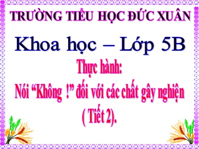 Bài giảng Khoa học Lớp 5 - Thực hành: Nói “Không !” đối với các chất gây nghiện (Tiết 2) - Trường Tiểu học Đức Xuân