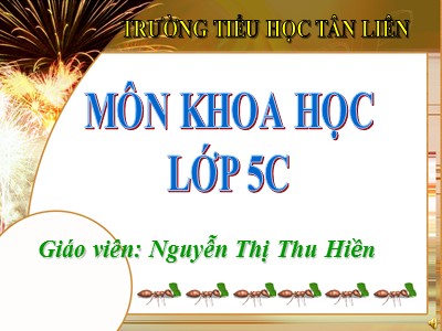 Bài giảng môn Khoa học Khối 5 - Bài 13: Phòng bệnh sốt xuất huyết - Nguyễn Thị Thu Hiền