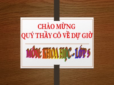 Bài giảng môn Khoa học Khối 5 - Bài 19: Phòng tránh tai nạn giao thông đường bộ