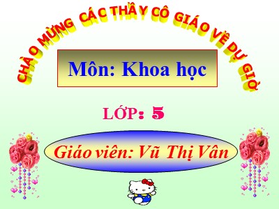 Bài giảng môn Khoa học Khối 5 - Bài 19: Phòng tránh tai nạn giao thông đường bộ - Vũ Thị Vân