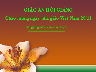 Bài giảng môn Khoa học Khối 5 - Bài 24: Đồng và hợp kim của đồng