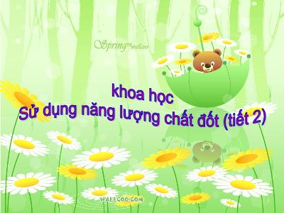 Bài giảng Khoa học Lớp 5 - Bài: Sử dụng năng lượng chất đốt (Tiết 2)