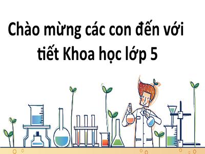 Bài giảng Khoa học Lớp 5 - Từ tuổi vị thành niên đến tuổi già