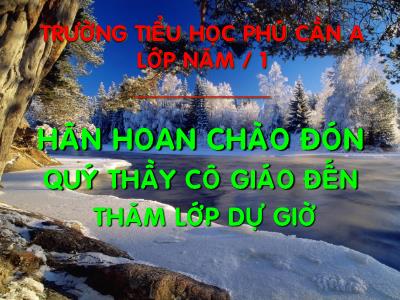 Bài giảng Tập làm văn Lớp 5 - Tiết 33: Ôn tập về viết đơn - Trường Tiểu học Phú Cần A