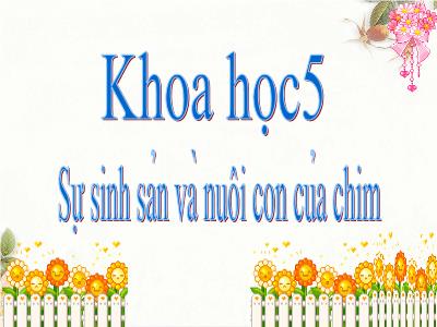 Bài giảng Khoa học Lớp 5 - Bài 58: Sự sinh sản và nuôi con của chim - Năm học 2022-2023 - Trần Thị Việt Hà