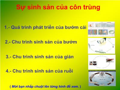Bài giảng Khoa học Lớp 5 - Tuần 29. Bài 56: Sự sinh sản của côn trùng - Năm học 2021-2022 - Đặng Thị Thu Hà