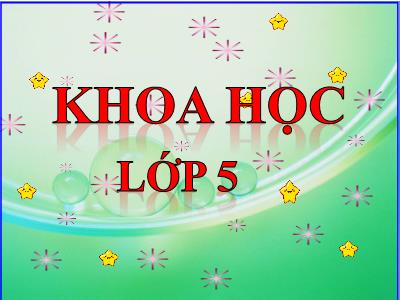 Bài giảng Khoa học Lớp 5 - Tuần 31. Bài 62: Môi trường và tài nguyên thiên nhiên - Năm học 2021-2022 - Đặng Thị Thu Hà