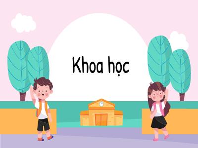 Bài giảng môn Khoa học Lớp 5 - Bài 2: Nam hay nữ?