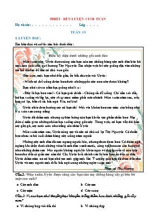 Bài tập ôn tập Tiếng Việt 5 (Chân trời sáng tạo) - Tuần 19