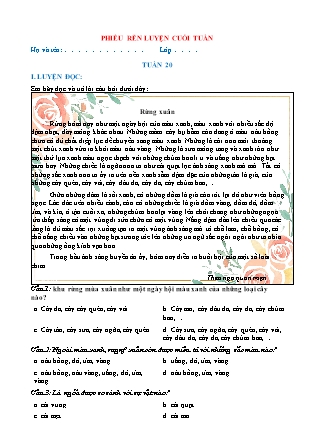 Bài tập ôn tập Tiếng Việt 5 (Chân trời sáng tạo) - Tuần 20