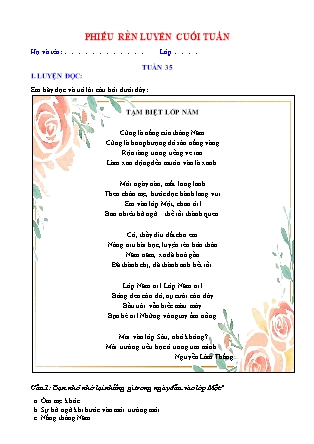 Bài tập ôn tập Tiếng Việt 5 (Chân trời sáng tạo) - Tuần 35