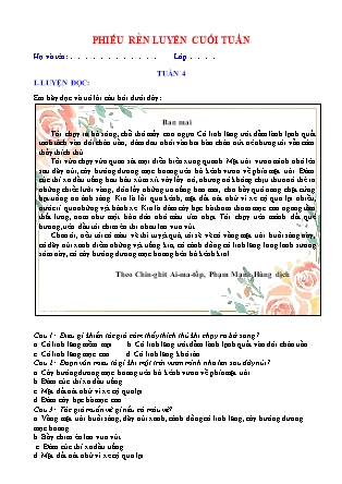 Bài tập ôn tập Tiếng Việt 5 (Chân trời sáng tạo) - Tuần 4