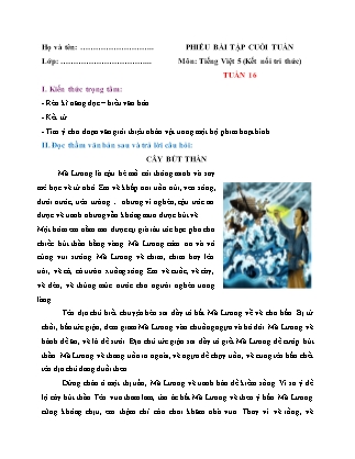 Bài tập ôn tập Tiếng Việt 5 (Kết nối tri thức) - Tuần 16