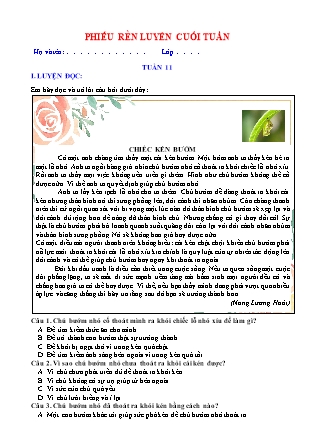 Bài tập ôn tập Tiếng Việt Lớp 5 - Tuần 11