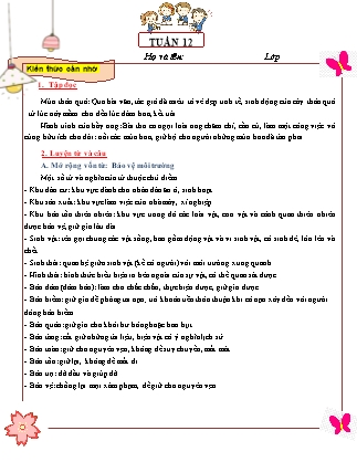 Đề cương ôn tập Tiếng Việt Lớp 5 - Tuần 12