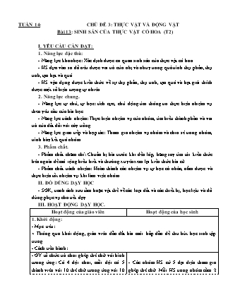 Giáo án Khoa học 5 (Kết nối tri thức) - Tuần 14