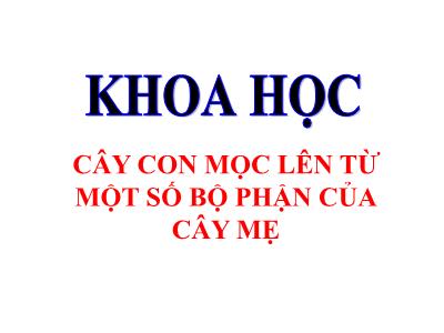 Bài giảng môn Khoa Học Lớp 5 - Bài 54: Cây con mọc lên từ một số bộ phận của cây mẹ