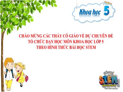 Bài giảng môn Khoa Học Lớp 5 - Bài học STEM: Dưa cải lên men